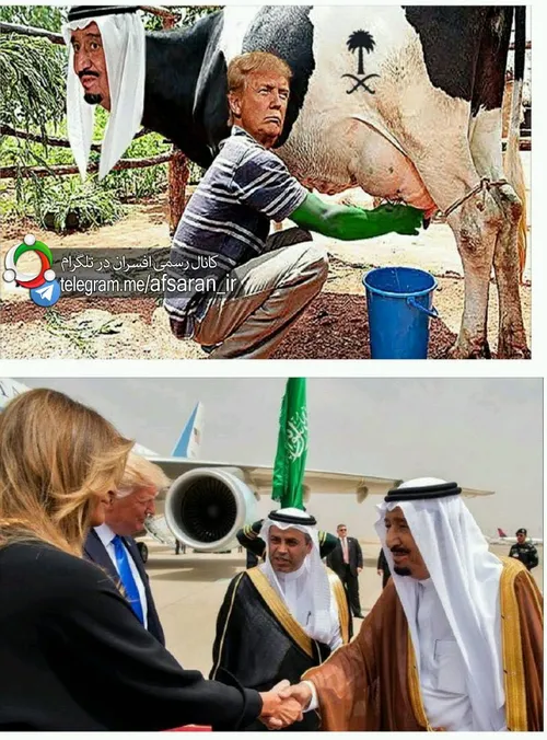 این تصویر رو کاربرای یمنی در توصیف سفر ترامپ به عربستان، 
