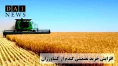 میزان خرید تضمینی گندم از کشاورزان افزایش یافت
