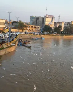 بازگشت بزرگی و عظمت به کارون بزرگ😍 