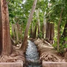 باغ پهلوان‌پور مهریز یزد، یکی از نمونه‌های اعلای باغ ایرا