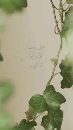 🍒🌱او یک نگاه داشت