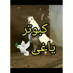 لاک فالو یادتون نره فالو کردی فالوت می کنم