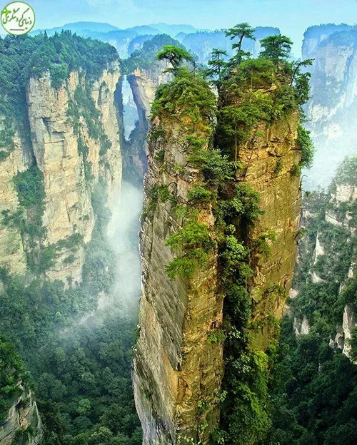 پارک ملی ژانگ جیاجی دنیایی اسرارآمیز در دل چین که خیلی از