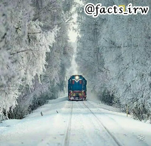 عبور قطار از جنگل های یخ زده مسکو در روسیه❤ ️