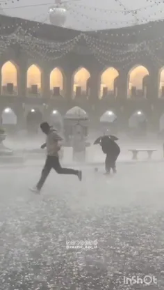 تلاش مردم برای نجات کبوتران حضرت رضا (؏) از زیر بارش تگرگ
