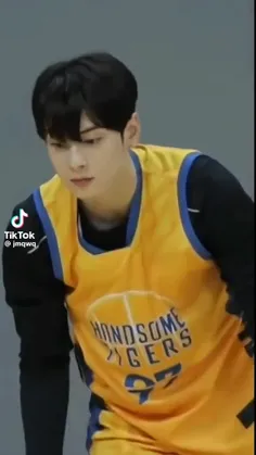 cha eun woo 