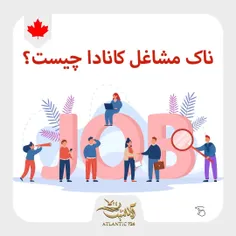 تا حالا اصطلاح noc job به گوشتون خورده؟👂🏼🇨🇦