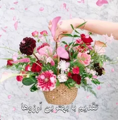 امروز 183 روز 🌺 🍃 