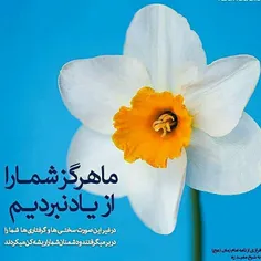  #امام_زمان #یامهدی #منجی_عالم_بشریت