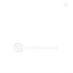 🗣️