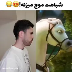 شبیه بودن؟ 😂😂😂