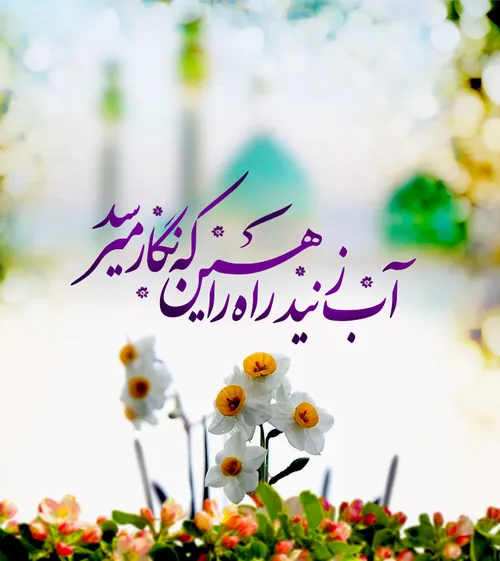 🌹 آب زنید راه را هین که نگار می رسد