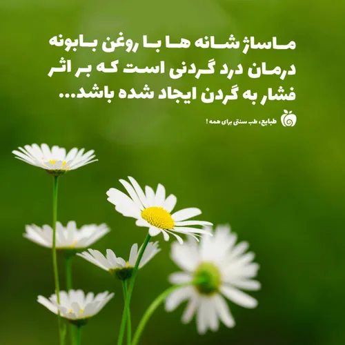 ماساژ شانه ها با روغن بابونه درمان درد گردنی است که بر اث