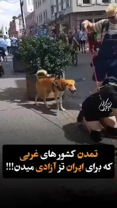 آزادی.....