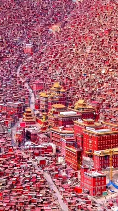تبت چون وسط کو بید