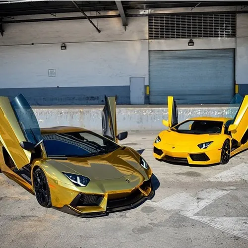 Lamborghini Aventadors