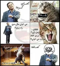 خخخ باحاله