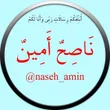 naseh_amin