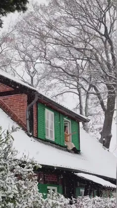 فصل زمستون و روزای برفی حسِ خوبش 🌨