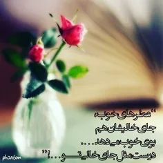 شعر و ادبیات 91ali 43473074