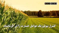 کنترل بیولوژیک عوامل خساتزای گیاهی در استان کرمانشاه