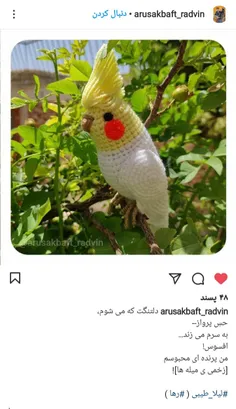 #سعید_فلاحی