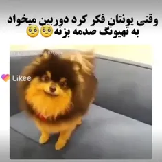 وای قربونش برم 