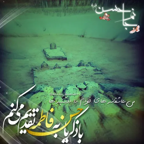 یا حسن ابن فاطمه ع💚