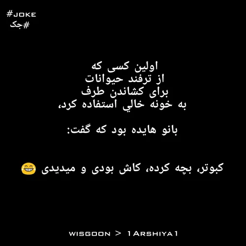 کبوتر بچه کرده😂