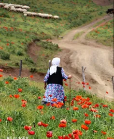 سرکشان را چو به صاف سرخم دستی نیست