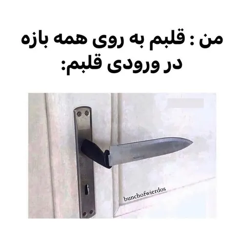 بل بل