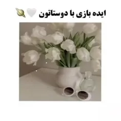 ایده بازی با دوستاتون🙂🐾