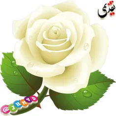 #کارت_پستال_استیکرسبد گل تقدیمی سه بعدی عکس گل جدید برای 