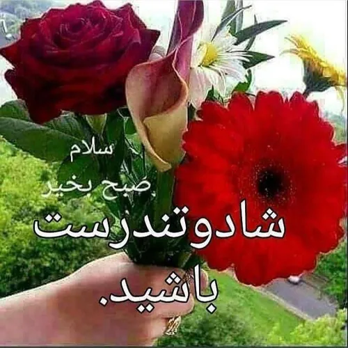 آدم های مهربان