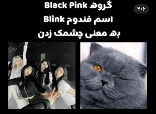  bllnk 52764569 - عکس ویسگون