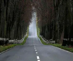 این جاده شبیه آرزوهای منه