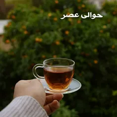 می‌گویم جان دل