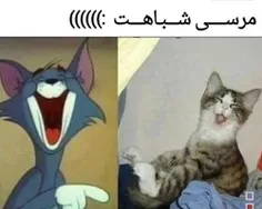 عه یافتمممش😃