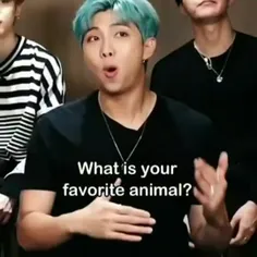 what is your favorite animal?