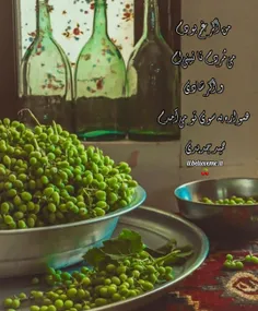 🍒🌱من اگر غم بودم