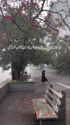 تک و تنهاتر از آنم که به دادم برسند 😔💔