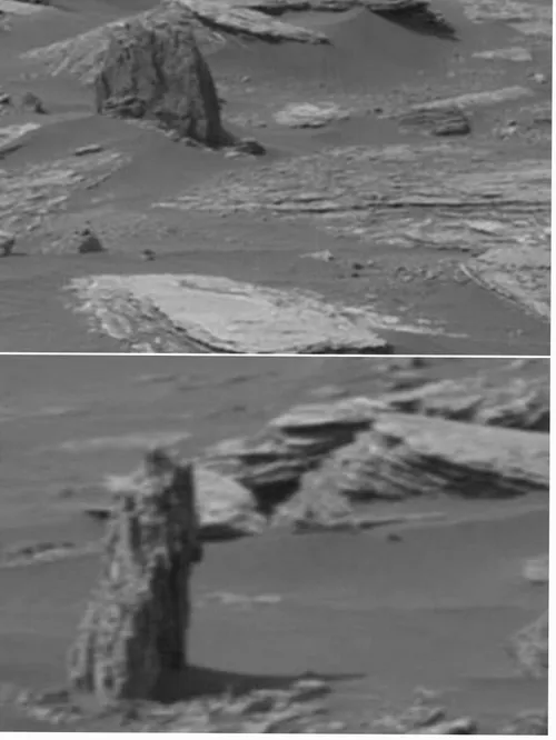 تصاویری از تنه درخت در مریخ درحالی توسط دانشمندان رد شده 