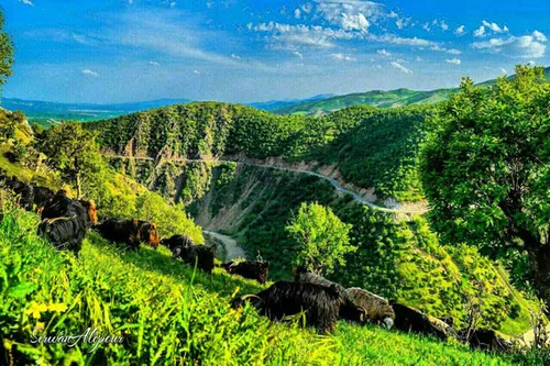 جاده بین پیرانشهر و سردشت در آذربایجان غربی