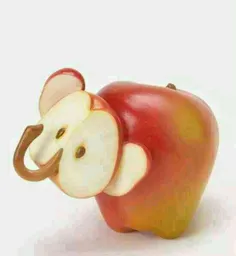 فیل سیبی..