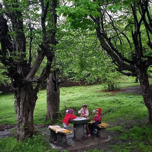 Kids have fun at KaboodVal forest. Gorgan, Golestan, Iran