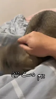 دوبلش خیلی باحاله😂😂