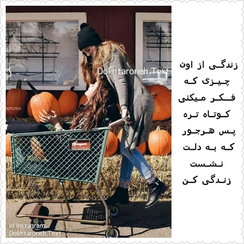 زندگی کن .......