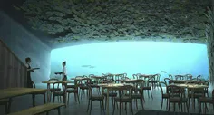یک شرکت#طراحی معماری رستورانی را در آب های نروژ احداث کرد