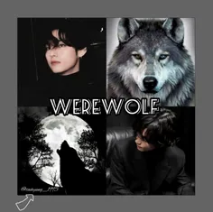 werewolf
جهت نظم پیج 
