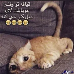 قیافت وقتی موبایلت لای مبل گیر میکنه😂